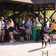 Image 221